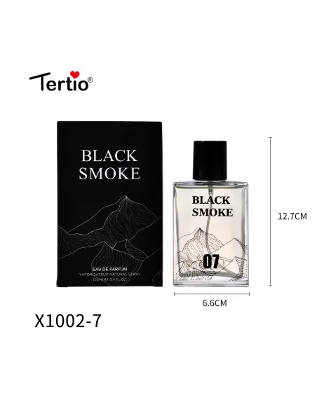 Perfume 100Ml Black Smoke N7